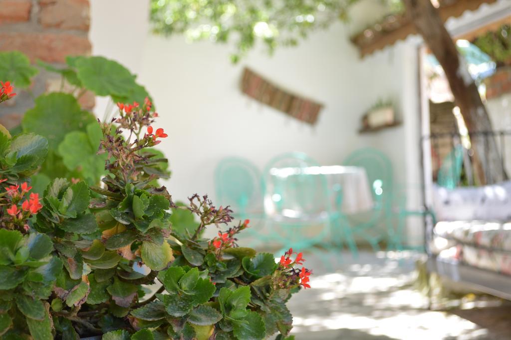 Maison d'hôtes Zeytinli Konak à Selçuk Extérieur photo